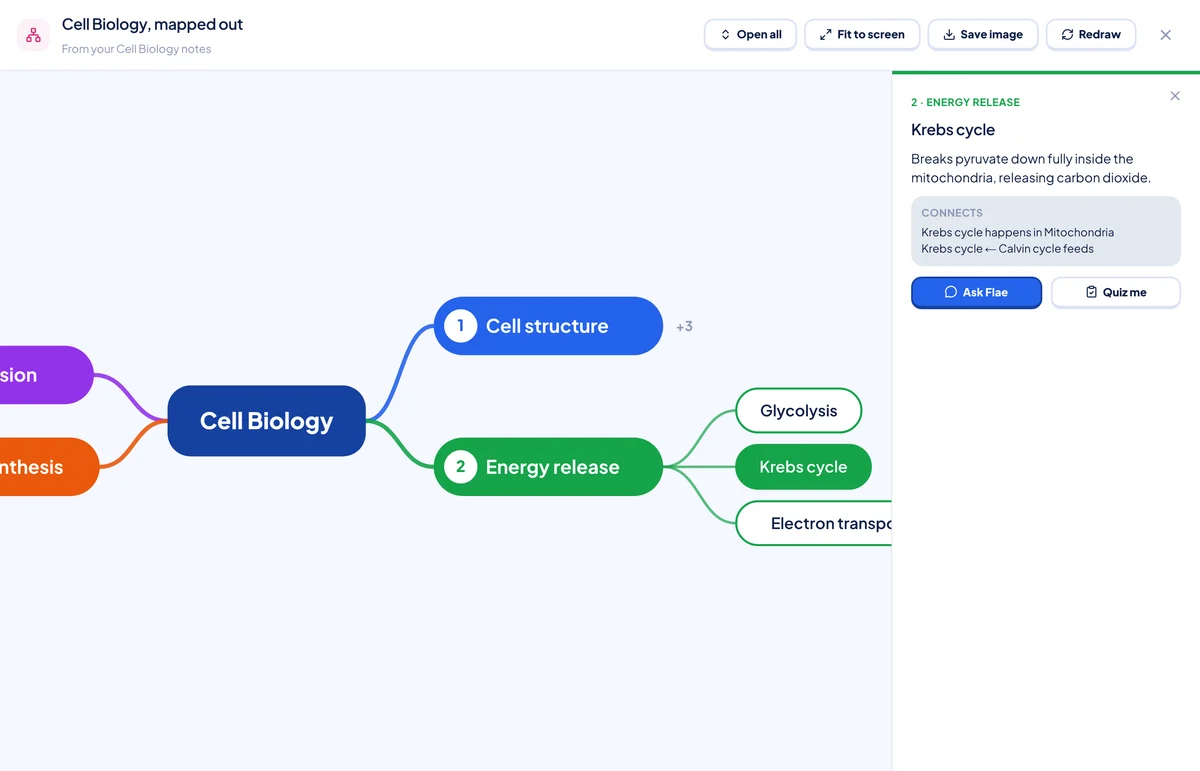 A card beside the map: the meaning of "Krebs cycle", an example, what it connects to, and Ask Flae / Quiz me buttons