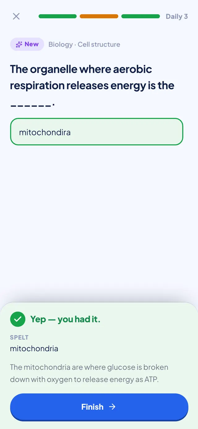 A misspelt answer marked right, with the spelling shown